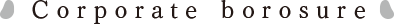 Corporate borosure